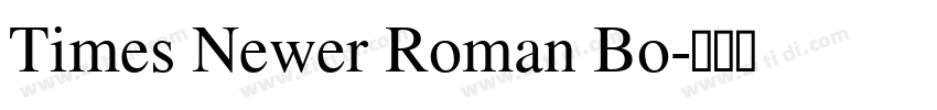 Times Newer Roman Bo字体转换